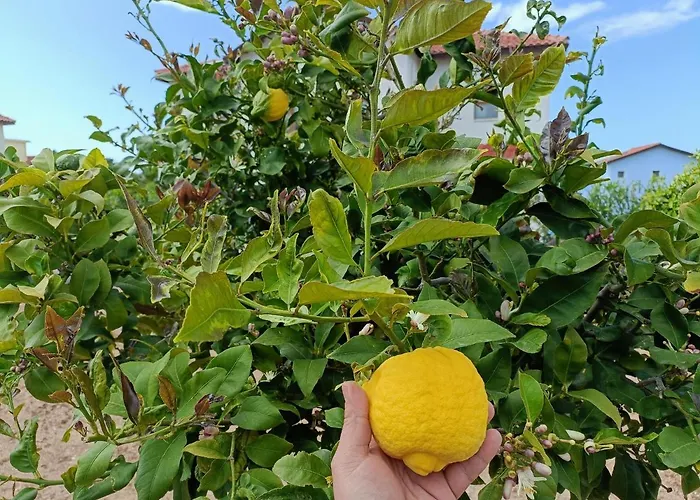 Sunny, Big Pool, Garden-roof Terrace View Cornervilla On Area Kyrenia-bahceli North-cyprus Apartmán