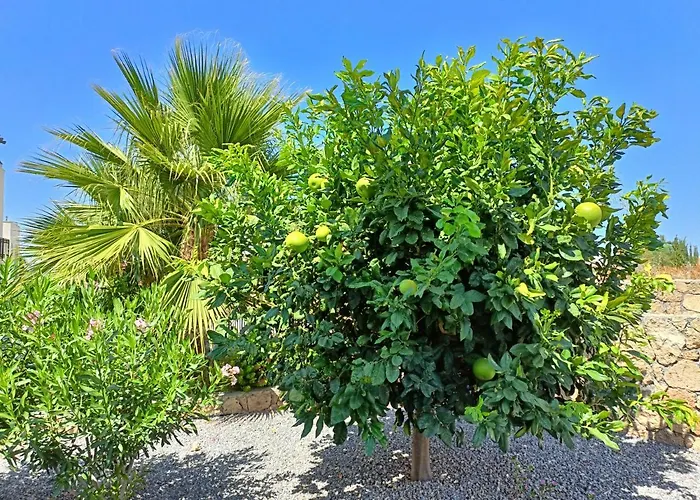 Apartmán Sunny, Big Pool, Garden-roof Terrace View Cornervilla On Area Kyrenia-bahceli North-cyprus *